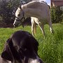 Trudy & Roanne enjoying the sun