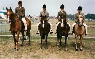 Boston Born Free; B. Blue Hussar; B. Blue Chip; B. Ballet Blonde